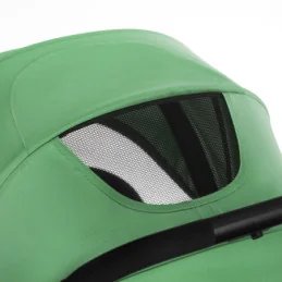 CARUCIOR SPORT KINDERKRAFT CRUISER, GREEN | MARKETPLACE SHOPPING CENTER
