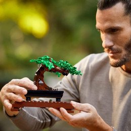 LEGO BONSAI 10281 | MARKETPLACE SHOPPING CENTER