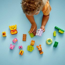 LEGO DUPLO PETRECEREA DE ZIUA DE NASTERE A LUI WINNIE DE PLUS 10457 | MARKETPLACE SHOPPING CENTER