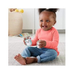 FISHER PRICE JUCARII ZORNAITOARE ARICII GEMENI | MARKETPLACE SHOPPING CENTER