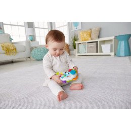 FISHER PRICE CONTROLLER INTERACTIV IN LIMBA ROMANA | MARKETPLACE SHOPPING CENTER