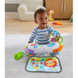 FISHER PRICE PERNUTA CU ACTIVITATI | MARKETPLACE SHOPPING CENTER