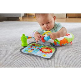FISHER PRICE PERNUTA CU ACTIVITATI | MARKETPLACE SHOPPING CENTER