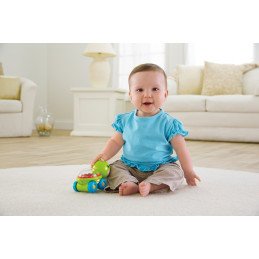 FISHER PRICE JUCARIE APASA SI MERGI TESTOASA | MARKETPLACE SHOPPING CENTER