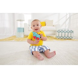 FISHER PRICE JUCARIE APASA SI MERGI ELEFANT | MARKETPLACE SHOPPING CENTER