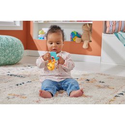 FISHER PRICE JUCARIE ZORNAITOARE VIDRA | MARKETPLACE SHOPPING CENTER