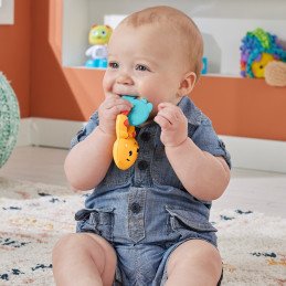 FISHER PRICE JUCARIE ZORNAITOARE VIDRA | MARKETPLACE SHOPPING CENTER