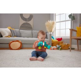 FISHER PRICE RECHINUL PRIETENOS | MARKETPLACE SHOPPING CENTER