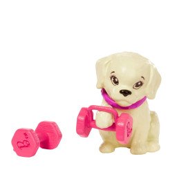 BARBIE SET DE JOACA CU ACCESORII PAPUSA BARBIE SPORTIVA | MARKETPLACE SHOPPING CENTER