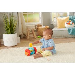 FISHER PRICE JUCARIE DE TRAS ELEFANTEL | MARKETPLACE SHOPPING CENTER