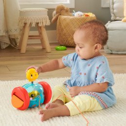 FISHER PRICE JUCARIE DE TRAS ELEFANTEL | MARKETPLACE SHOPPING CENTER
