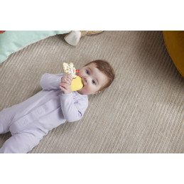 FISHER PRICE JUCARIE DENTITIE IEPURAS | MARKETPLACE SHOPPING CENTER