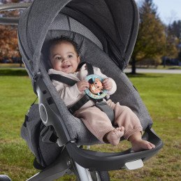 FISHER PRICE JUCARIE ZORNAITOARE SALAMANDRA | MARKETPLACE SHOPPING CENTER
