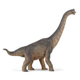 PAPO FIGURINA DINOZAUR BRACHIOSAURUS | 1Buy.ro