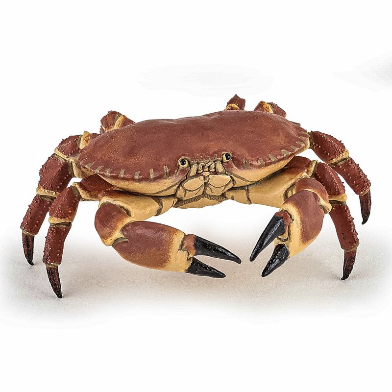 PAPO FIGURINA CRAB | MARKETPLACE SHOPPING CENTER