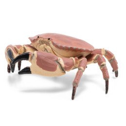 PAPO FIGURINA CRAB | MARKETPLACE SHOPPING CENTER