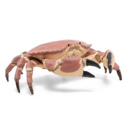 PAPO FIGURINA CRAB | MARKETPLACE SHOPPING CENTER