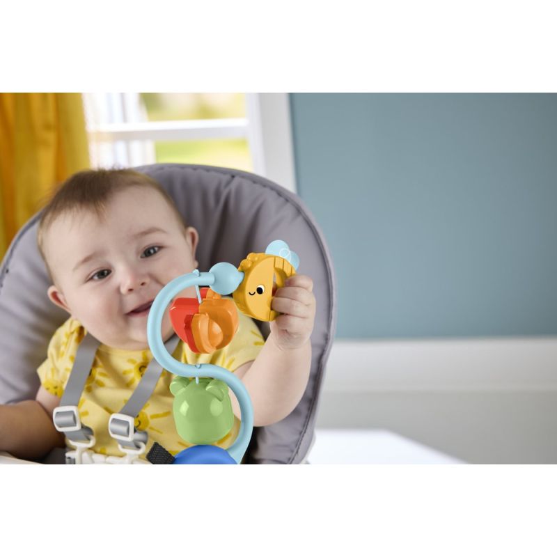 Fisher Price Jucarie Senzoriala cu Ventuza | 1Buy.ro