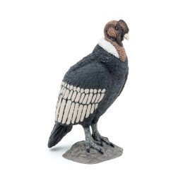 PAPO FIGURINA CONDOR | MARKETPLACE SHOPPING CENTER
