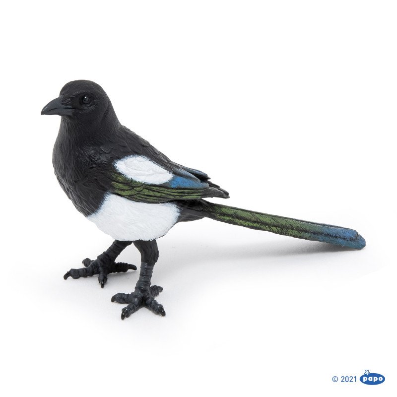 PAPO FIGURINA COTOFANA | MARKETPLACE SHOPPING CENTER