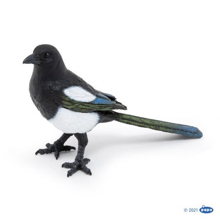 PAPO FIGURINA COTOFANA | MARKETPLACE SHOPPING CENTER