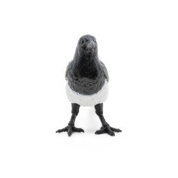 PAPO FIGURINA COTOFANA | MARKETPLACE SHOPPING CENTER