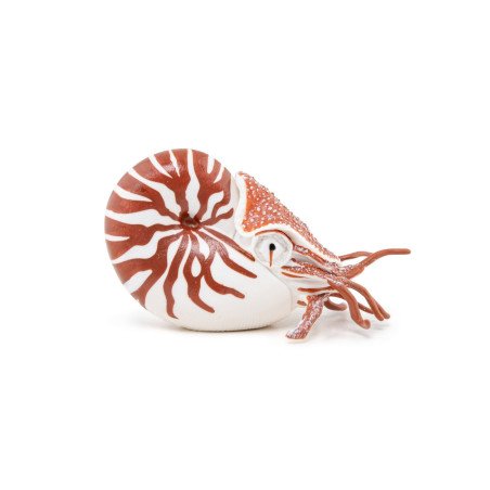 PAPO FIGURINA NAUTILUS | MARKETPLACE SHOPPING CENTER