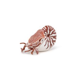 PAPO FIGURINA NAUTILUS | MARKETPLACE SHOPPING CENTER