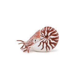 PAPO FIGURINA NAUTILUS | MARKETPLACE SHOPPING CENTER