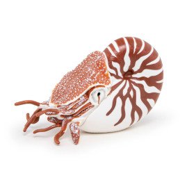 PAPO FIGURINA NAUTILUS | MARKETPLACE SHOPPING CENTER
