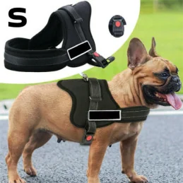 Ham pentru Caini Senior Dog S (60 - 75Cm) ...