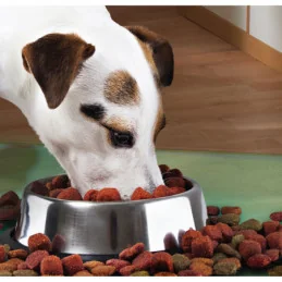 Castron Metalic pentru Hranire Animale de Companie - 29Cm ...